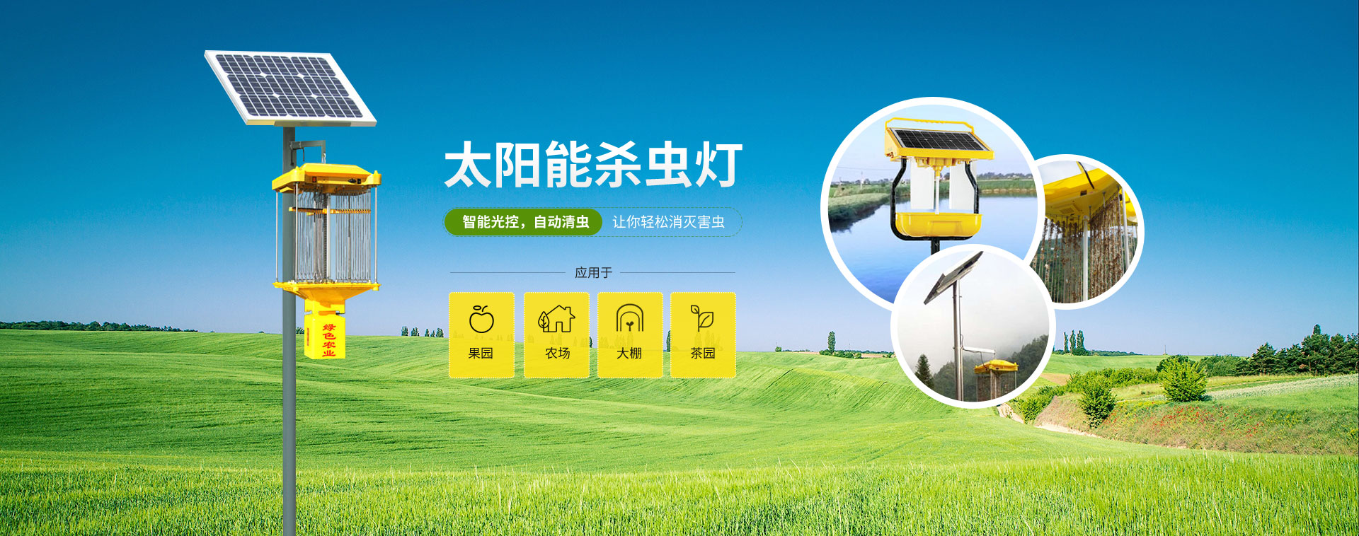 果园农场茶园茄子视频在线免费观看