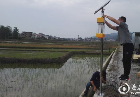 茄子视频在线免费观看助力湖南建设生态优质米示范基地