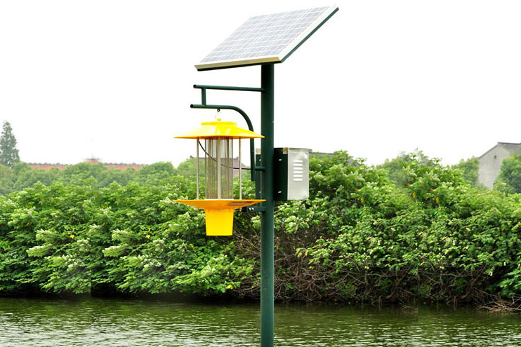 茄子视频在线免费观看入驻安远县石湾苗圃案例图片