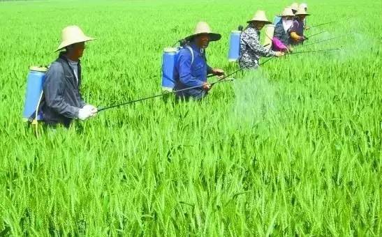 茄子视频在线免费观看哪家好？不能只图价格便宜，否则得不偿失