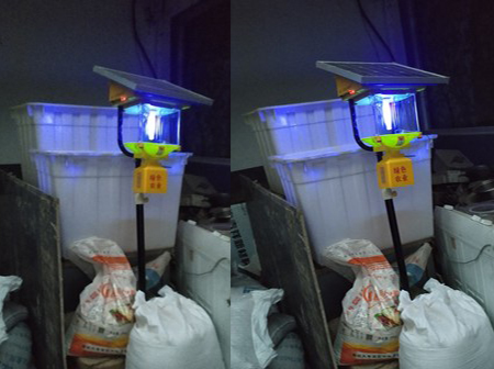 茄子视频在线免费观看晚上灯管不亮的原因