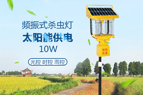 太阳能茄子黄色视频在线观看免维护蓄电池图片