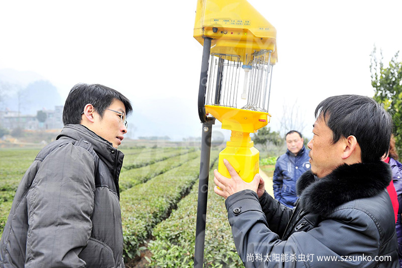 茄子视频在线免费观看的价格是多少及效果如何