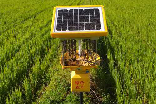 茄子视频在线免费观看在黑龙江延寿县水稻种植基地披甲上阵