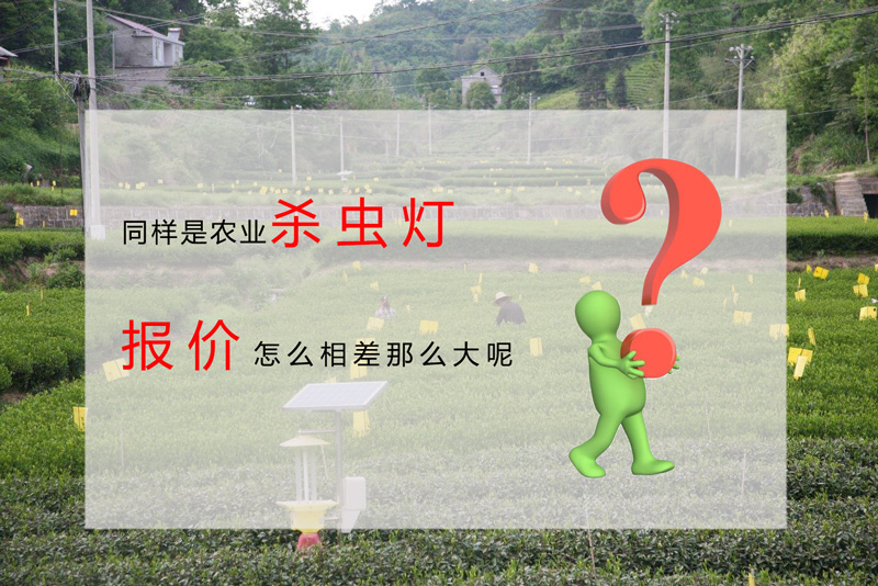 影响茄子视频在线免费观看报价的因素