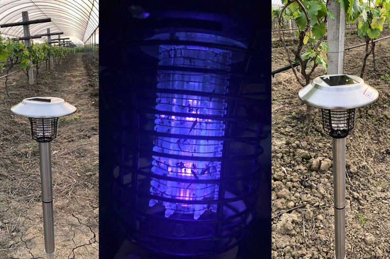 葡萄果园可以用杀虫灯绿色防控病虫害吗？