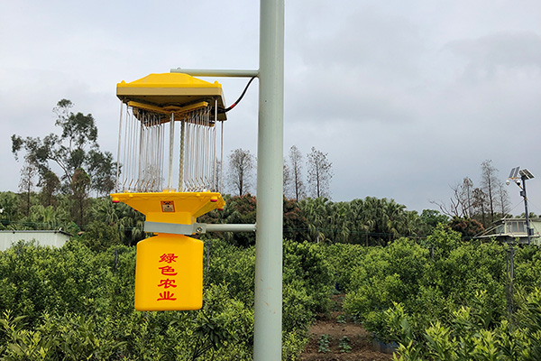 太阳能监控茄子视频在线免费观看让茶园更安全
