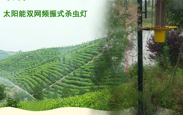 高杆式茄子视频在线免费观看应用于江西会昌县林业图片