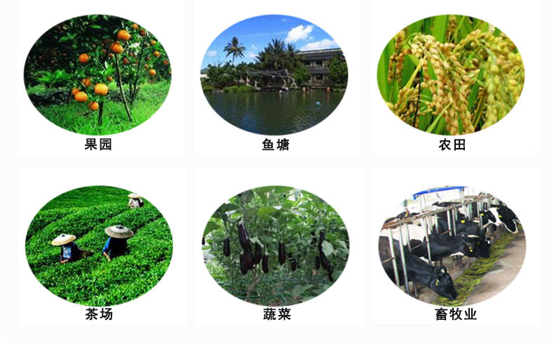 频振式茄子视频APP污下载pz024农业应用范围