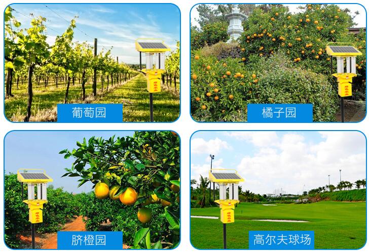 锂电池小型茄子视频在线免费观看效果展示