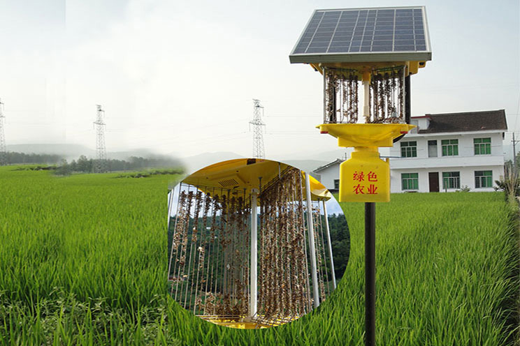 太阳能茄子黄色视频在线观看效果实拍
