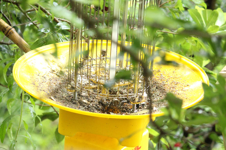 交流电茄子黄色视频在线观看效果实拍
