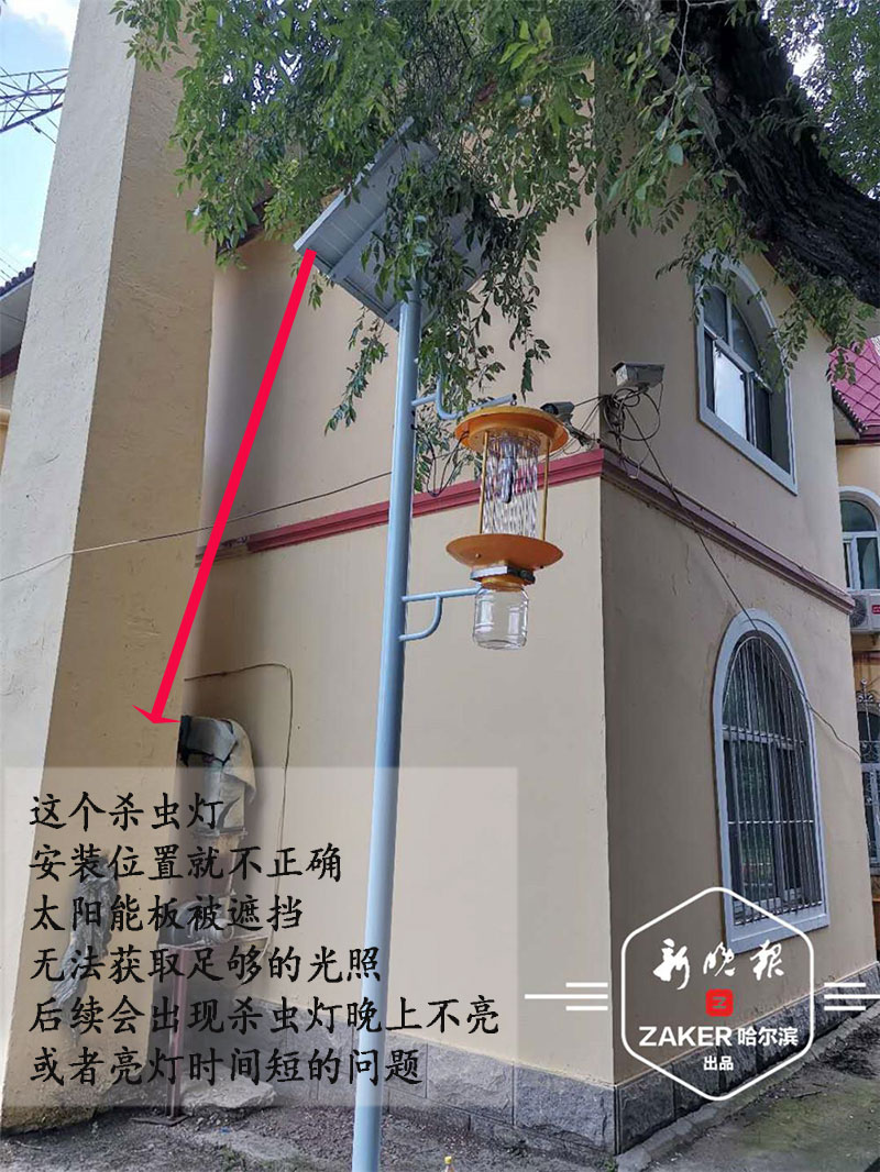 哈尔滨园林公园安装茄子视频在线免费观看
