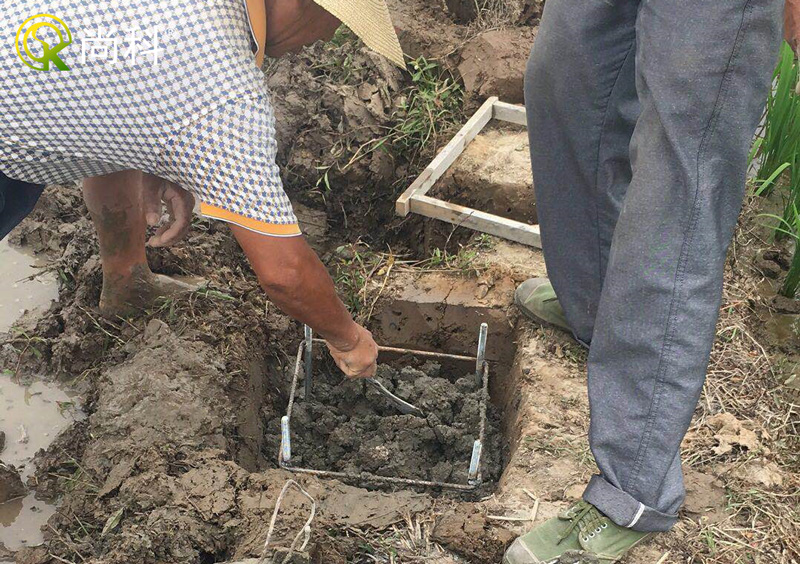 立杆茄子视频在线免费观看地基地笼安装-放置地笼