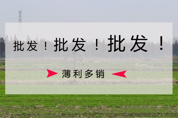 茄子视频在线免费观看批发价格要比零售价格低
