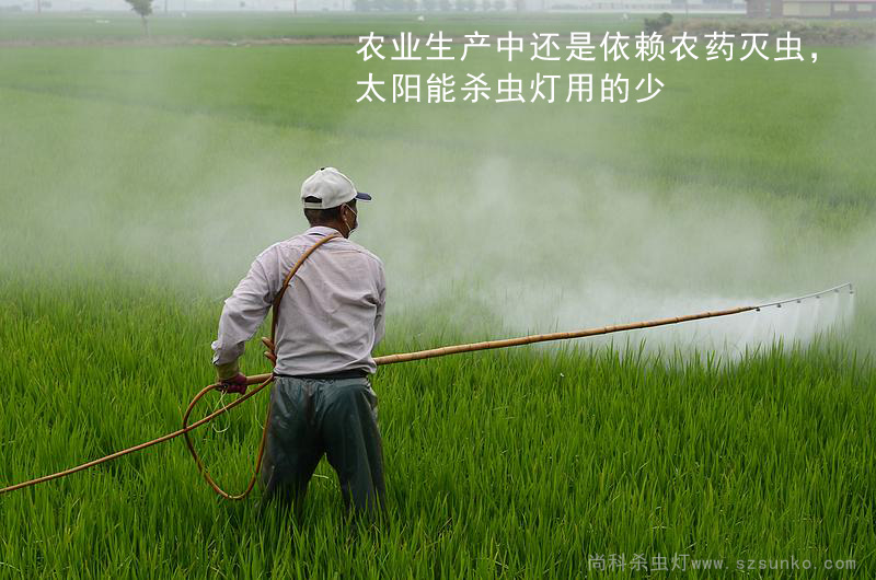 水稻使用农药灭虫，茄子视频在线免费观看用的少