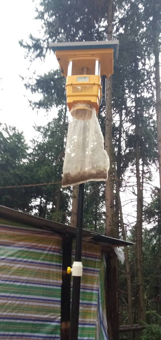 葡萄果园使用风吸式茄子视频在线免费观看