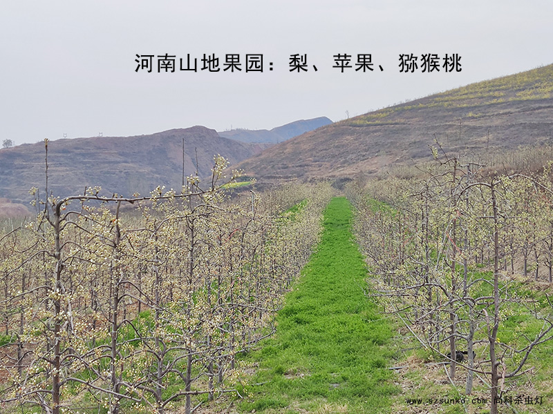 茄子视频在线免费观看在果园用了3年照样工作