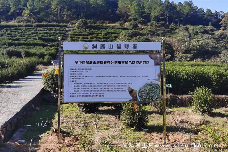 苏州天王坞碧螺春茶园茄子视频在线免费观看安装案例