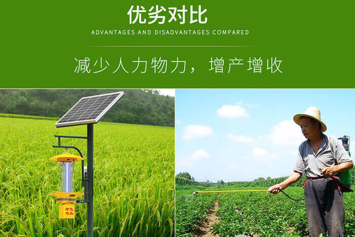 茄子视频在线免费观看有哪些优点和缺点