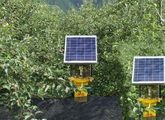 茶园茄子视频在线免费观看使用数量多少