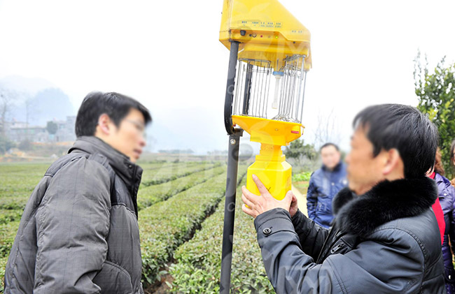 茄子视频在线免费观看不用时怎么处理